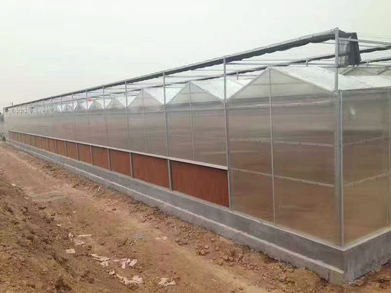連棟陽(yáng)光板溫室