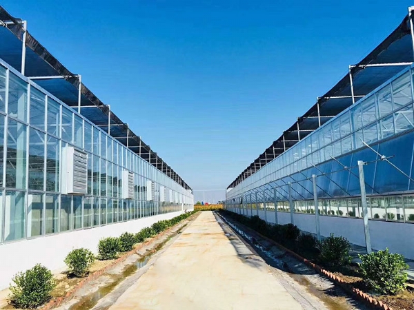 觀賞魚(yú)溫室