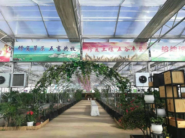 內蒙烏蘭浩特玻璃溫室投入使用