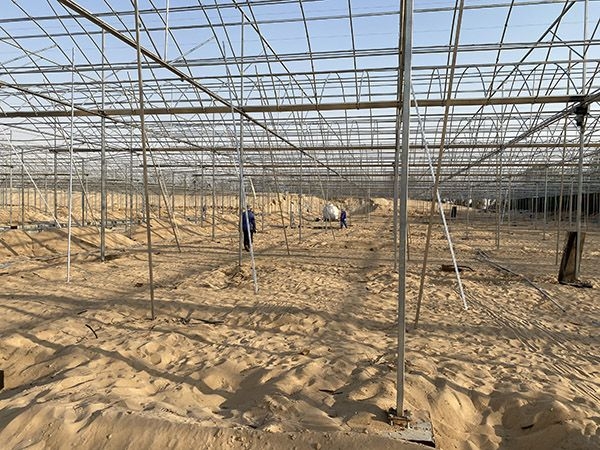 沙特阿拉伯連棟陽光板溫室51200平方