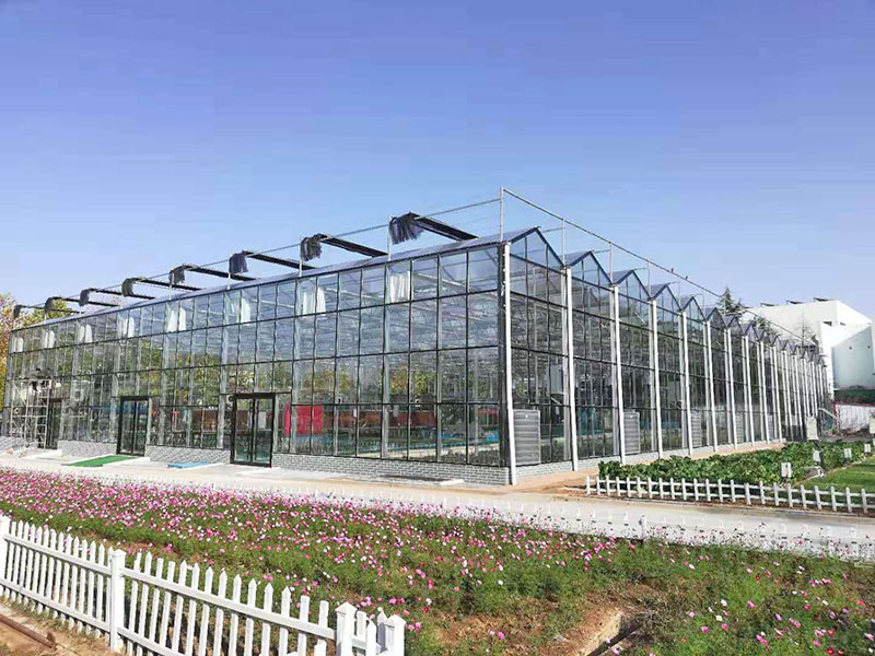 溫室大棚如何提高化肥利用效率？