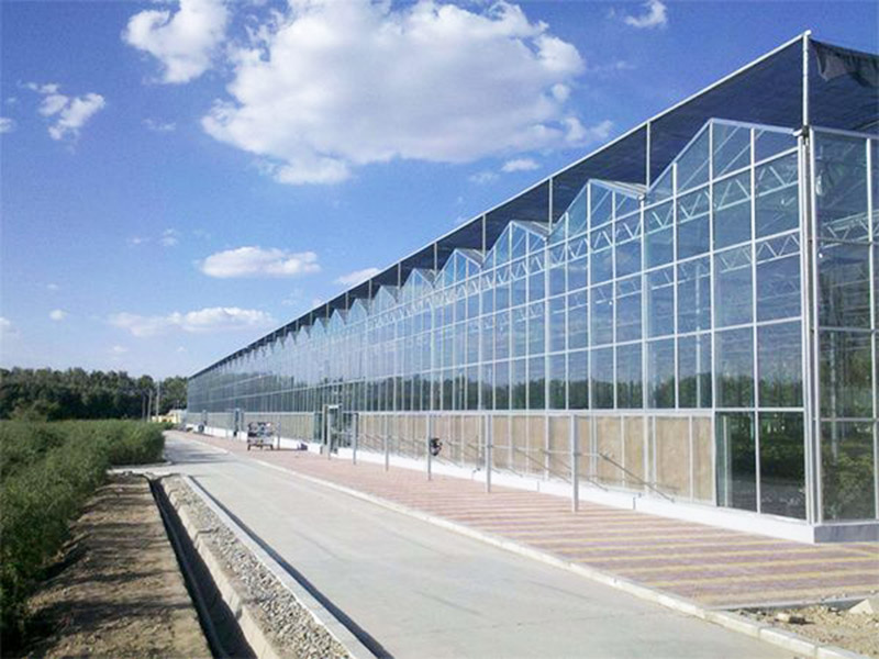 建設(shè)溫室大棚要點(diǎn)有哪些？