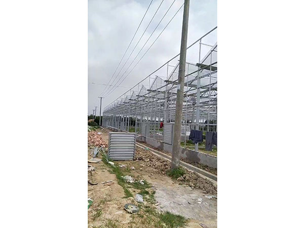 江西新余市珠珊鎮(zhèn)橫板橋玻璃溫室