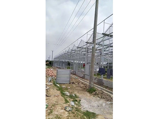 江西新余市珠珊鎮(zhèn)橫板橋玻璃溫室